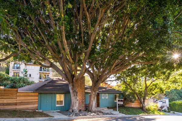 Exterior of a renovated teal cottage-style home shaded by a massive mature tree, with brick accents, wood fencing, and lush landscaping.